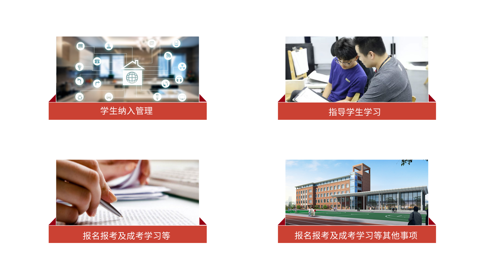 成考学习指导.png